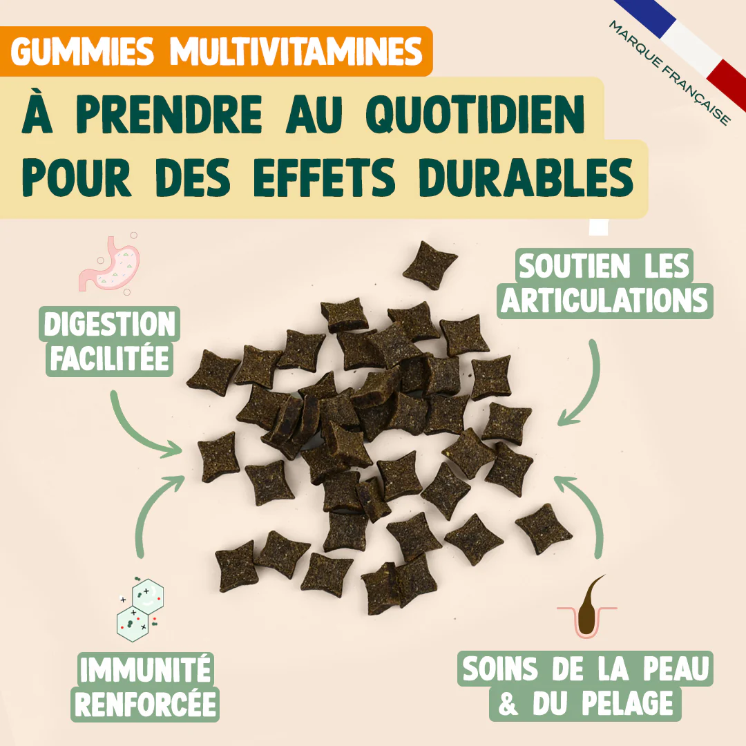 GUMMIES MULTIVITAMINES - Image 3