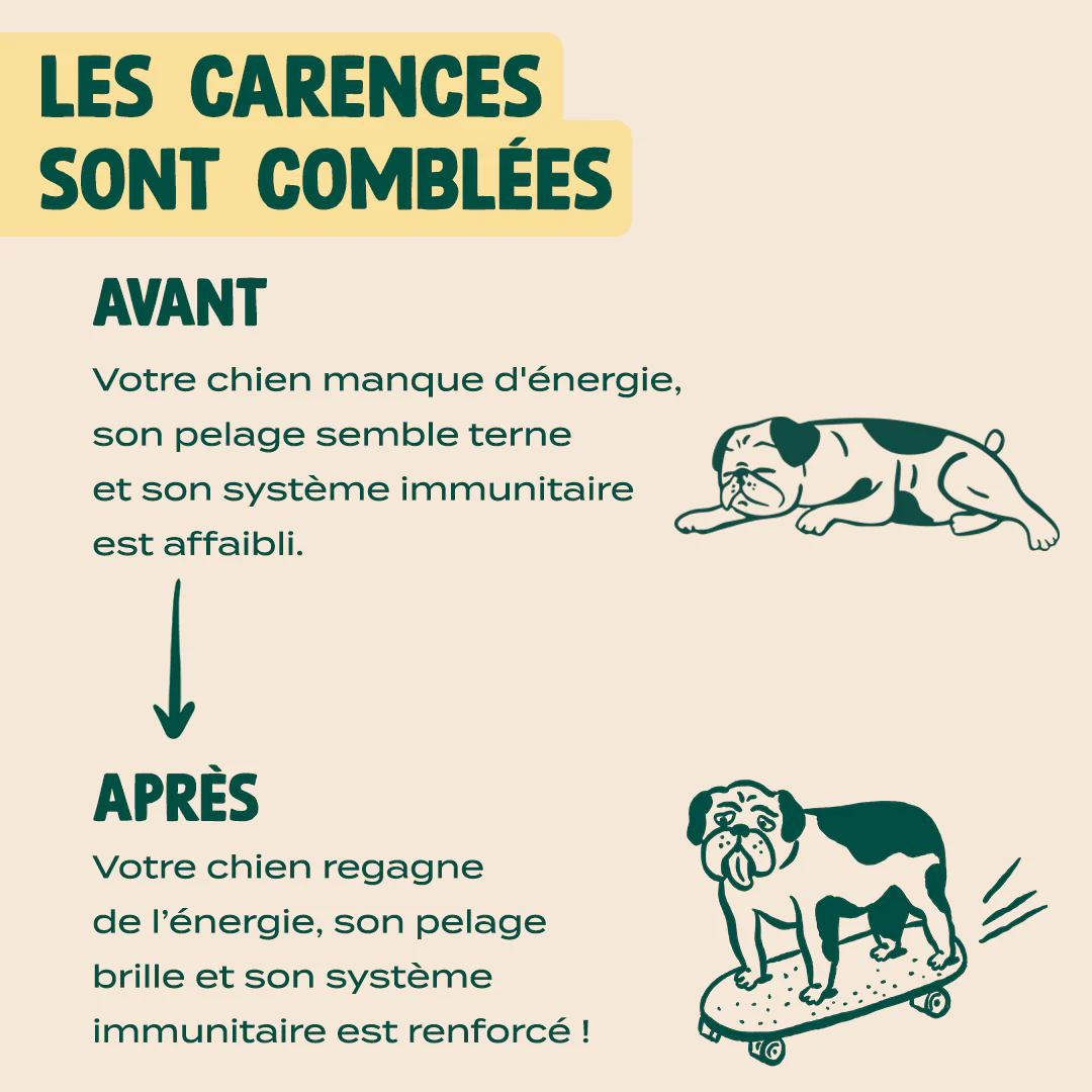 GUMMIES MULTIVITAMINES - Image 5