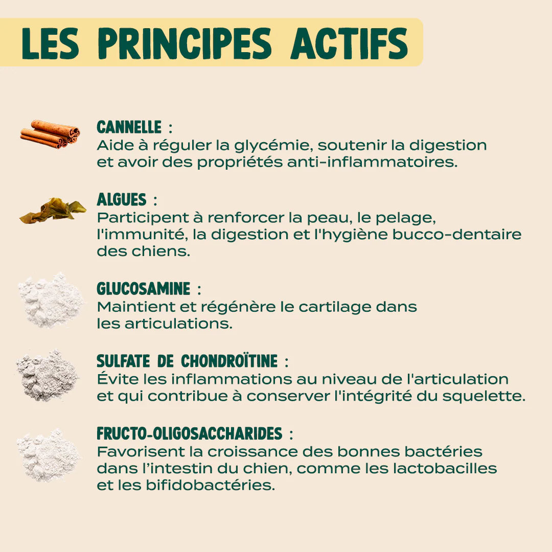 GUMMIES MULTIVITAMINES - Image 6