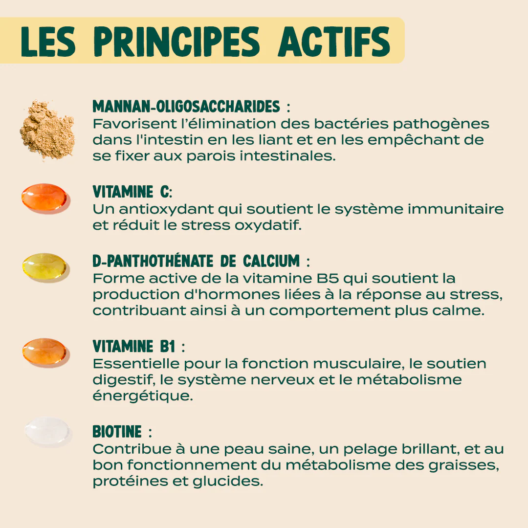 GUMMIES MULTIVITAMINES - Image 7