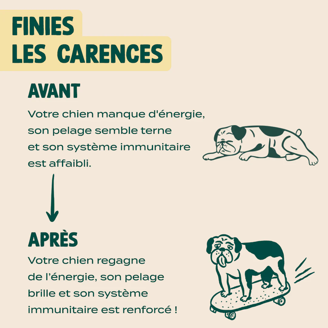 HUILE DE CHANVRE BIO - Image 4