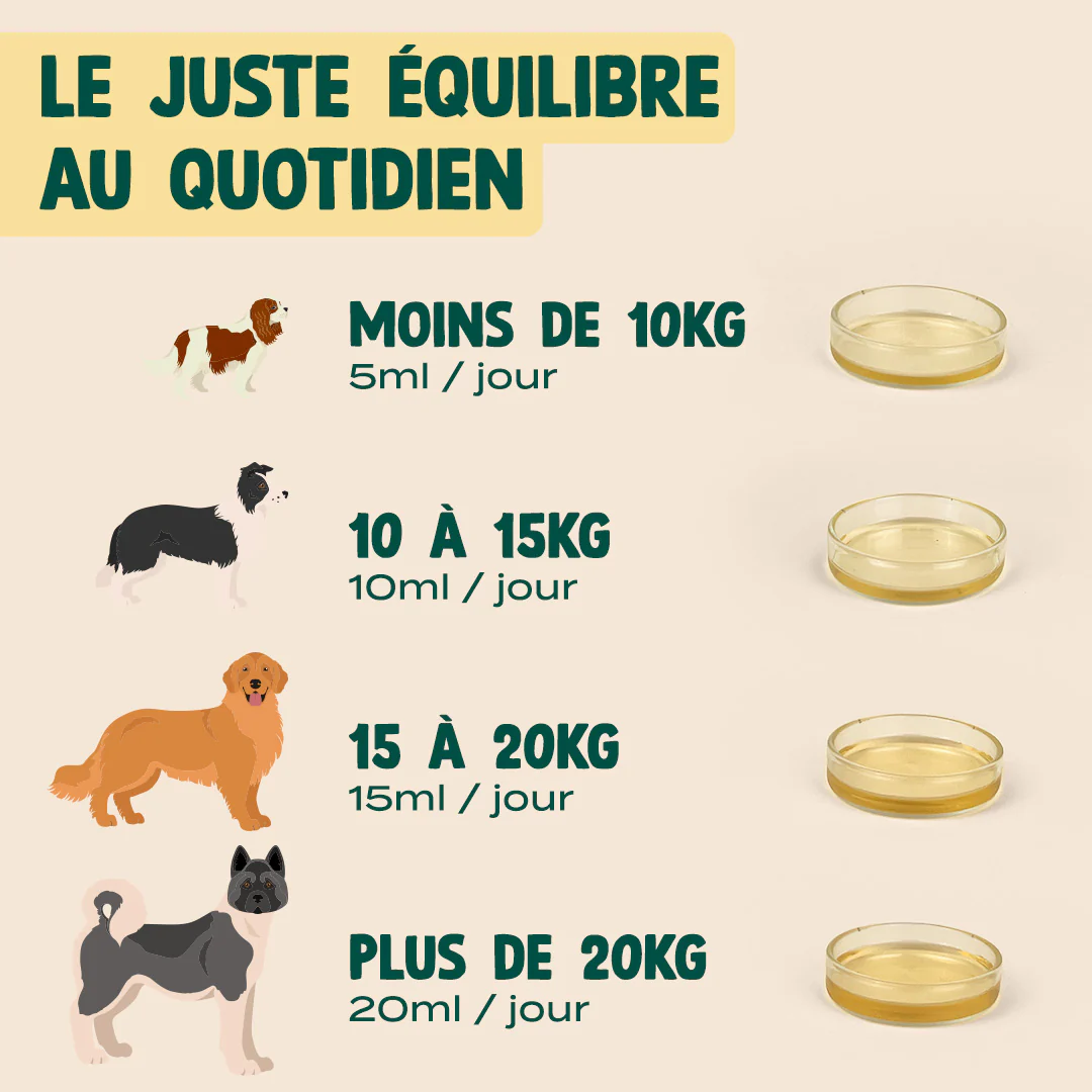 HUILE DE CHANVRE BIO - Image 6