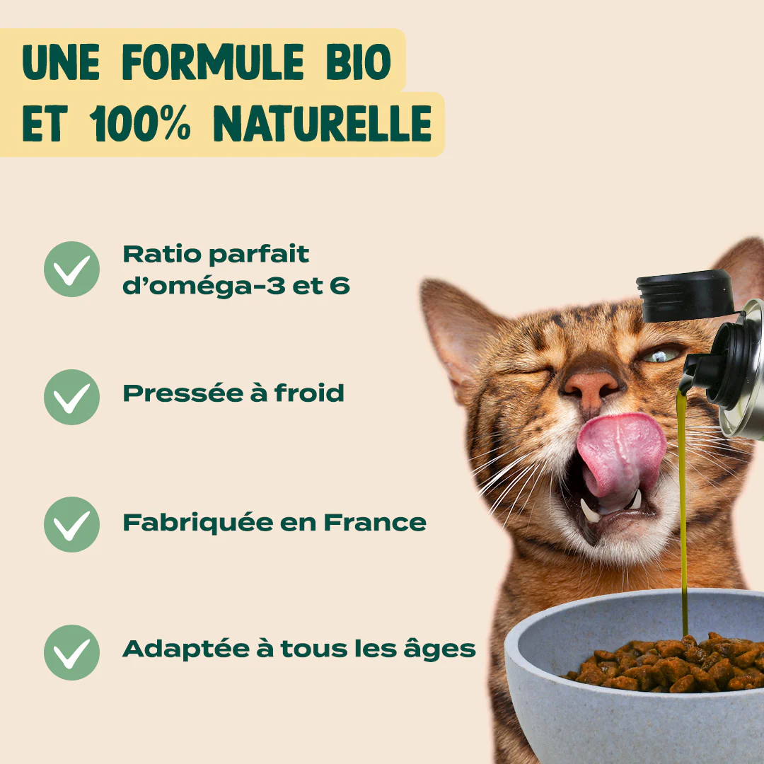 HUILE DE CHANVRE BIO - Image 3