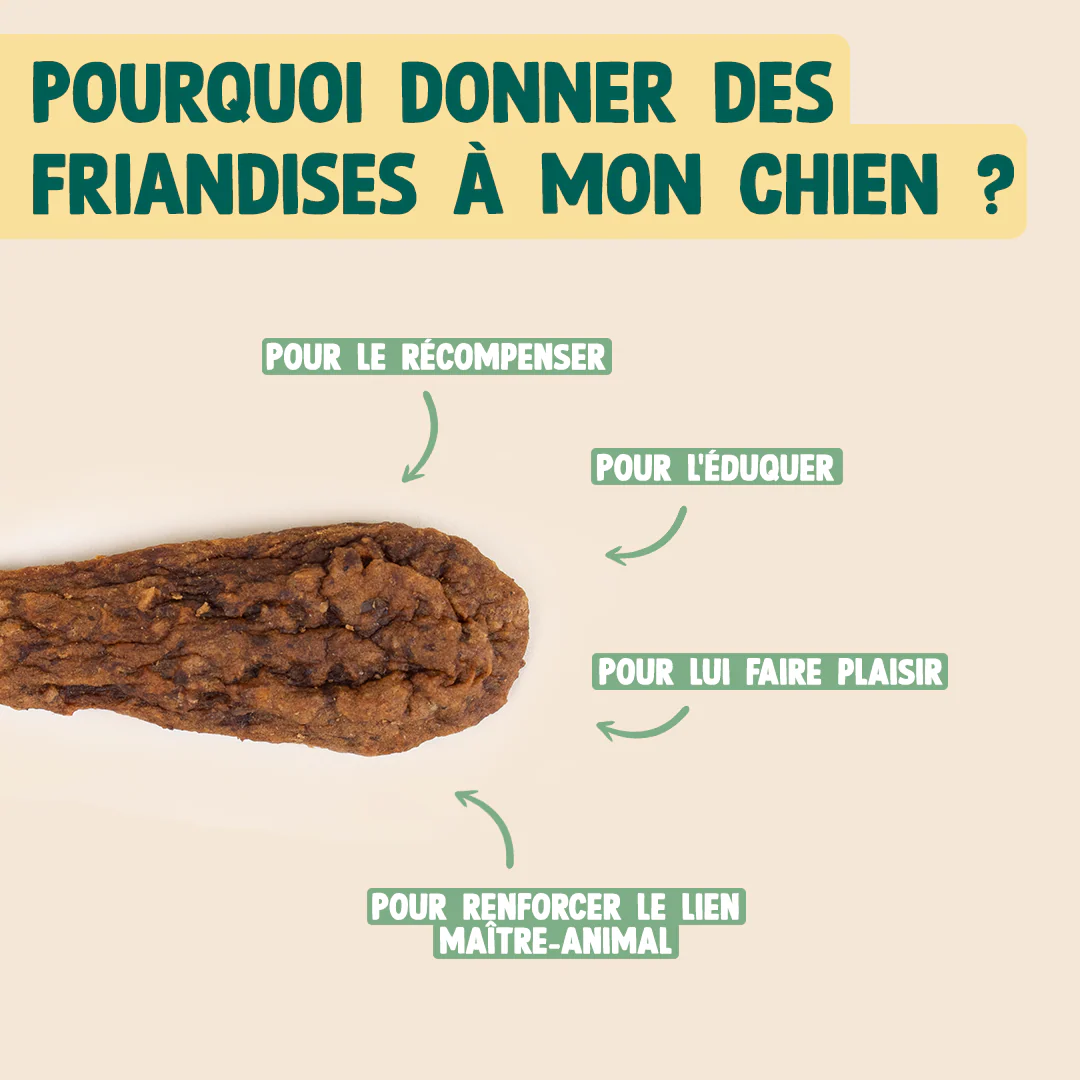 FAISAN SÉCHÉ - Image 4