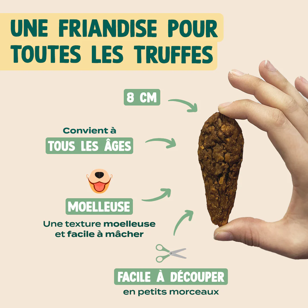 CANARD SÉCHÉ - Image 4