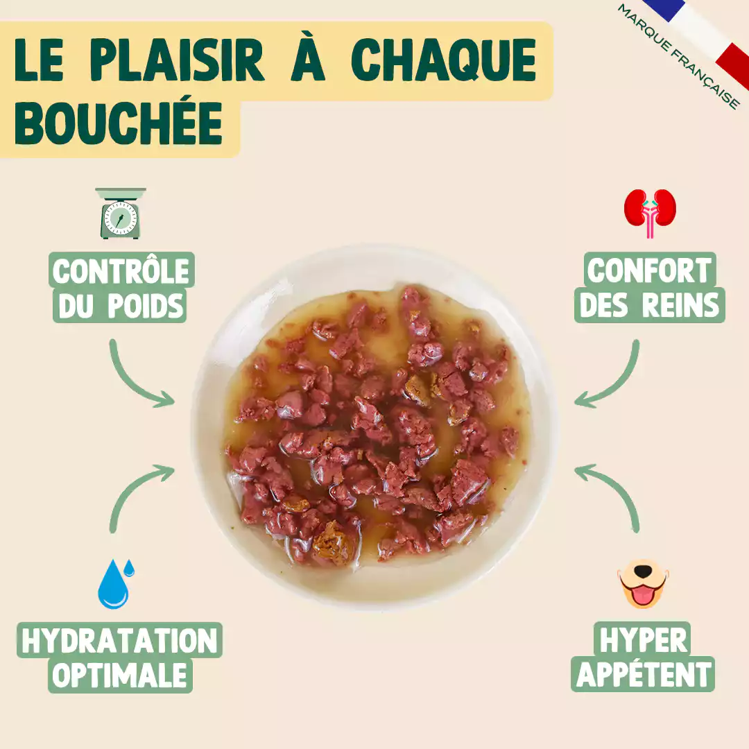 LAPIN, POULET, MYRTILLE - Image 3