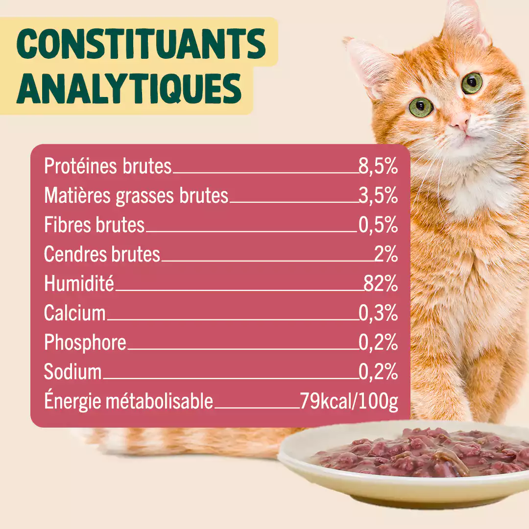 LAPIN, POULET, MYRTILLE - Image 5