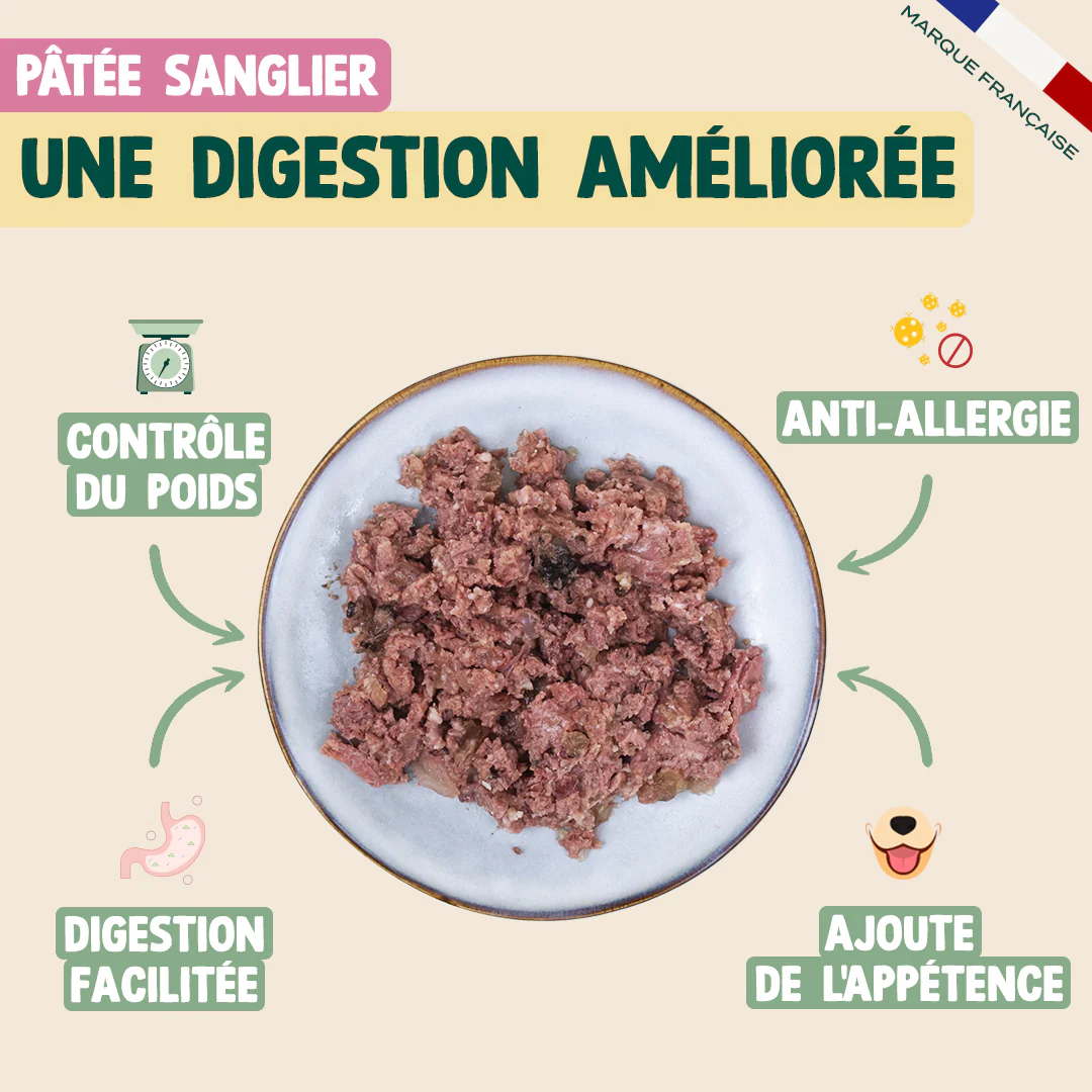 PACK CHIEN DIFFICILE - Image 4