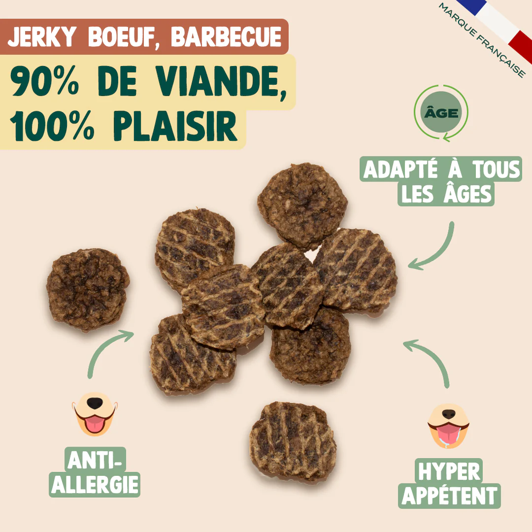 PACK CHIEN DIFFICILE - Image 5