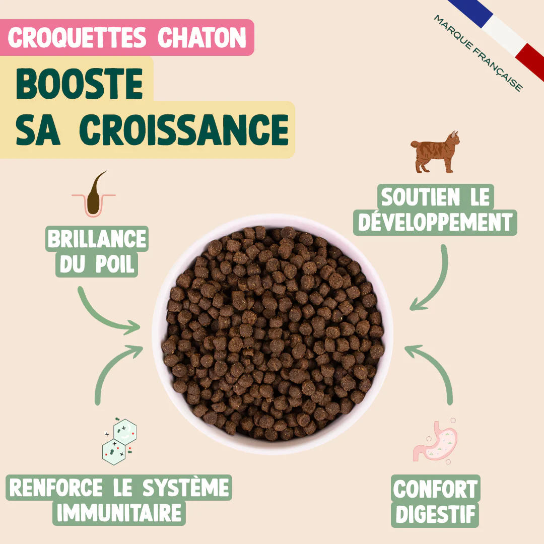 PACK DÉCOUVERTE CHATON - Image 3