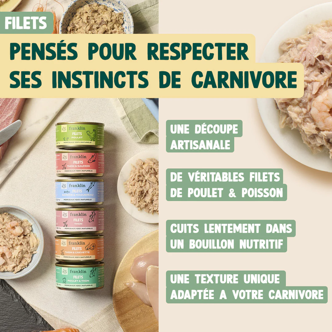 PACK DÉCOUVERTE CHATON - Image 4