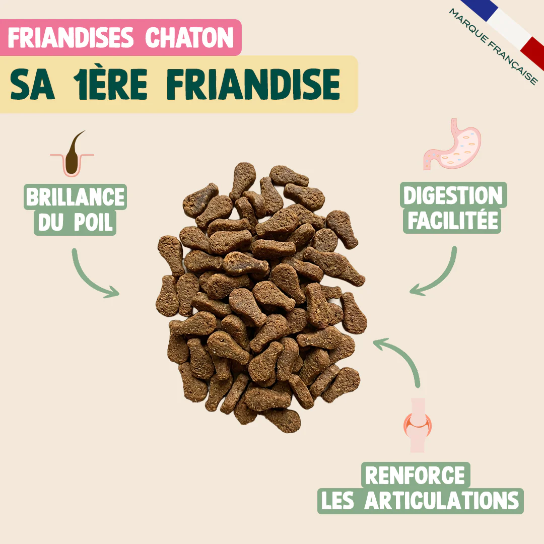 PACK DÉCOUVERTE CHATON - Image 5