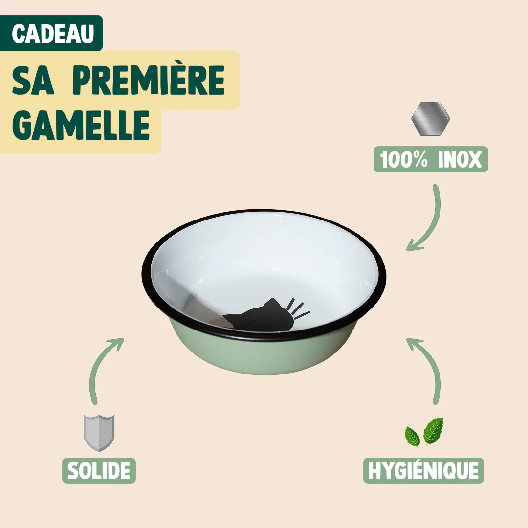 PACK DÉCOUVERTE CHATON - Image 6