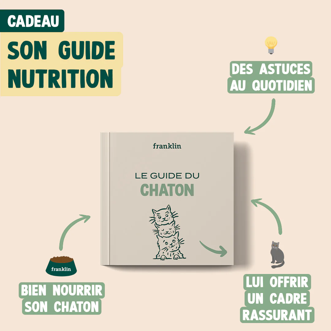 PACK DÉCOUVERTE CHATON - Image 7