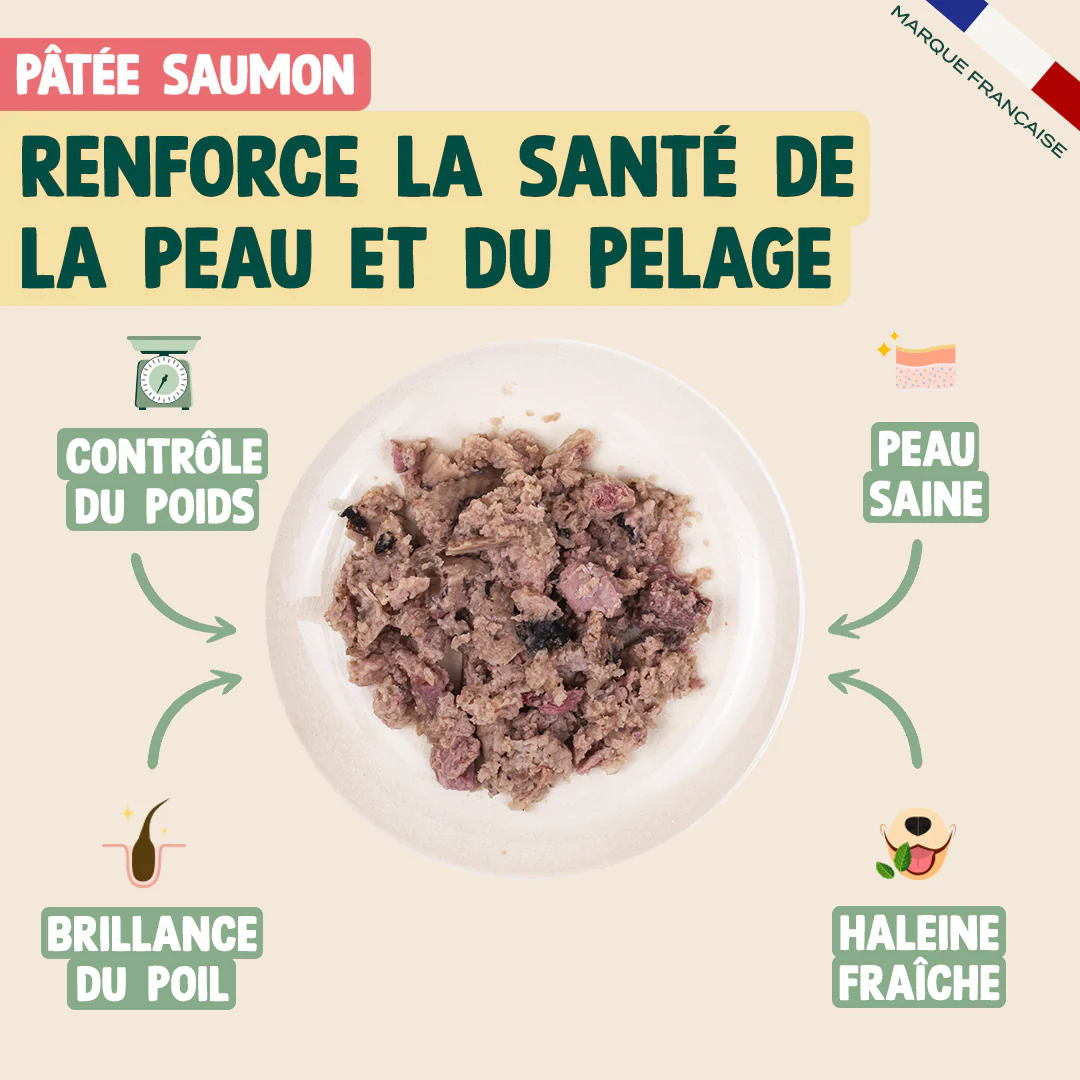 PACK DÉCOUVERTE CHIOT - Image 4