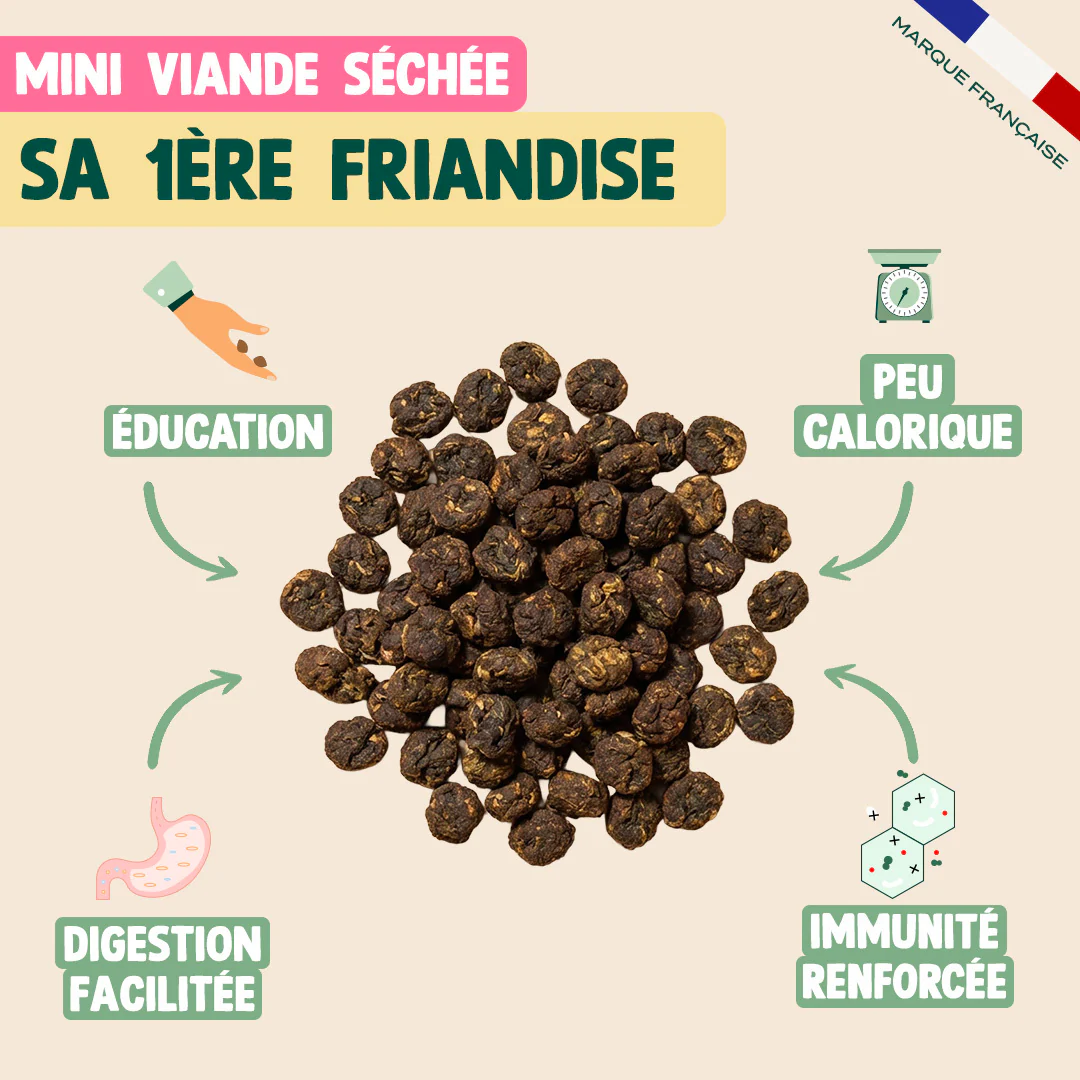 PACK DÉCOUVERTE CHIOT - Image 5