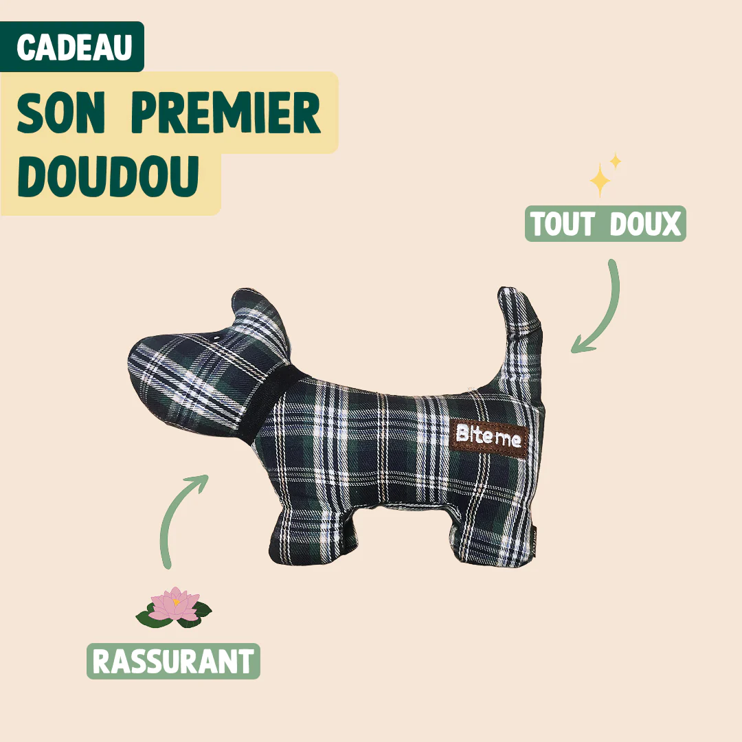 PACK DÉCOUVERTE CHIOT - Image 6