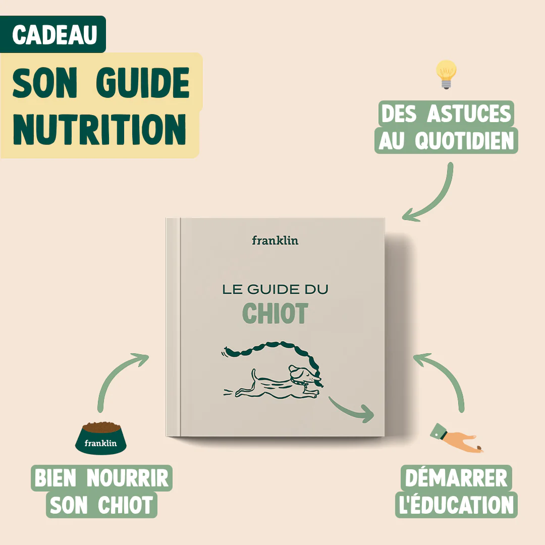 PACK DÉCOUVERTE CHIOT - Image 7