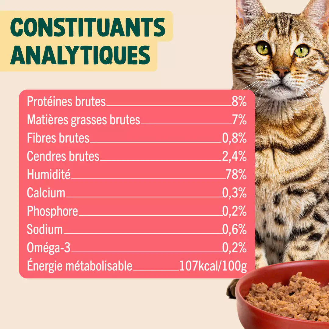 SAUMON, BASILIC - Image 4