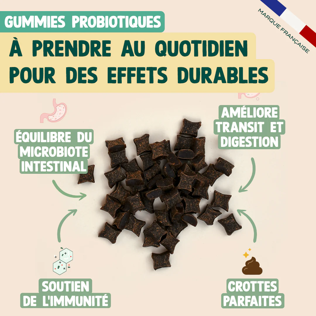 GUMMIES PROBIOTIQUES - Image 3