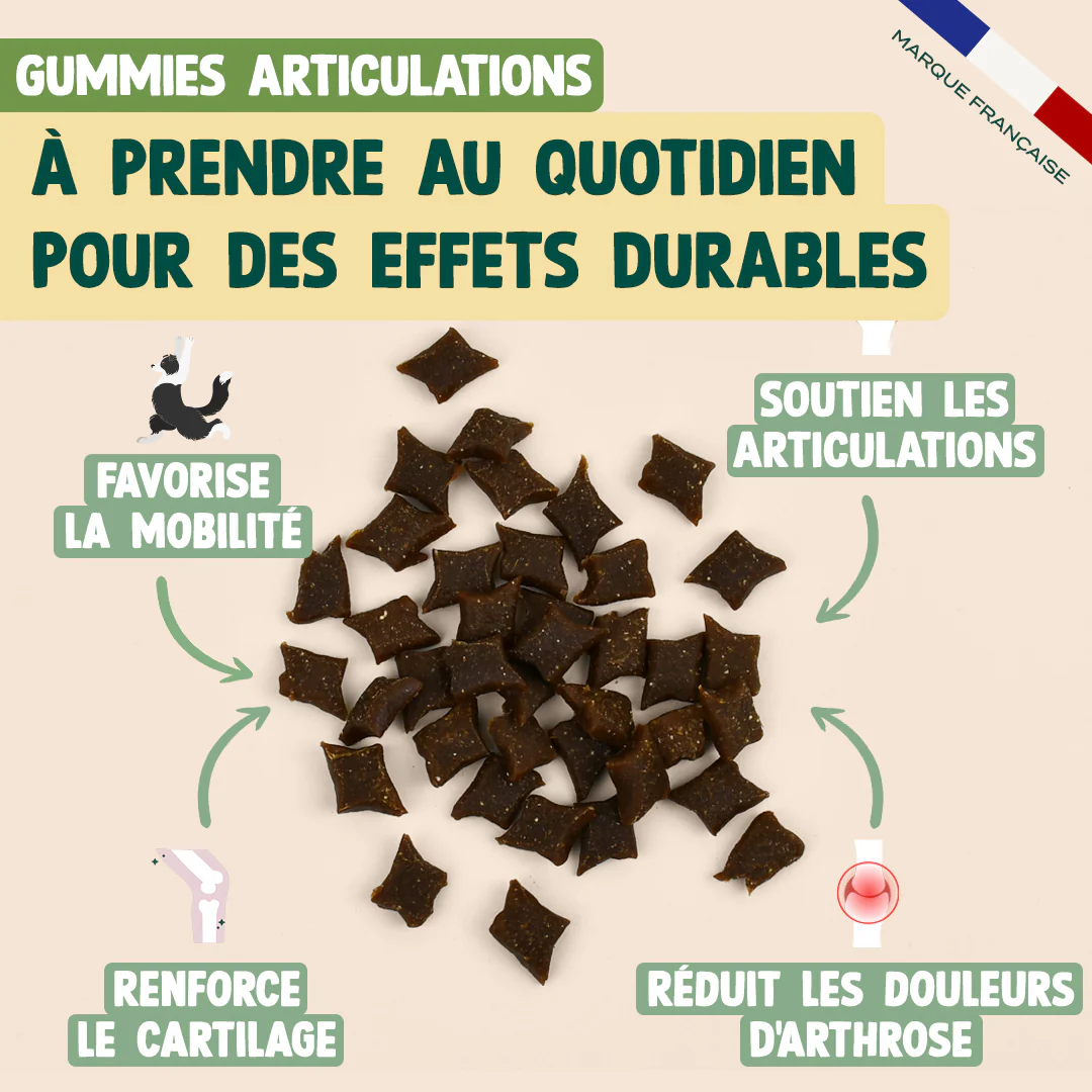 GUMMIES ARTICULATIONS - Image 3