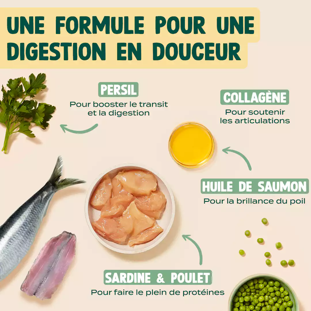 MINI SNACK DIGESTION - Image 3