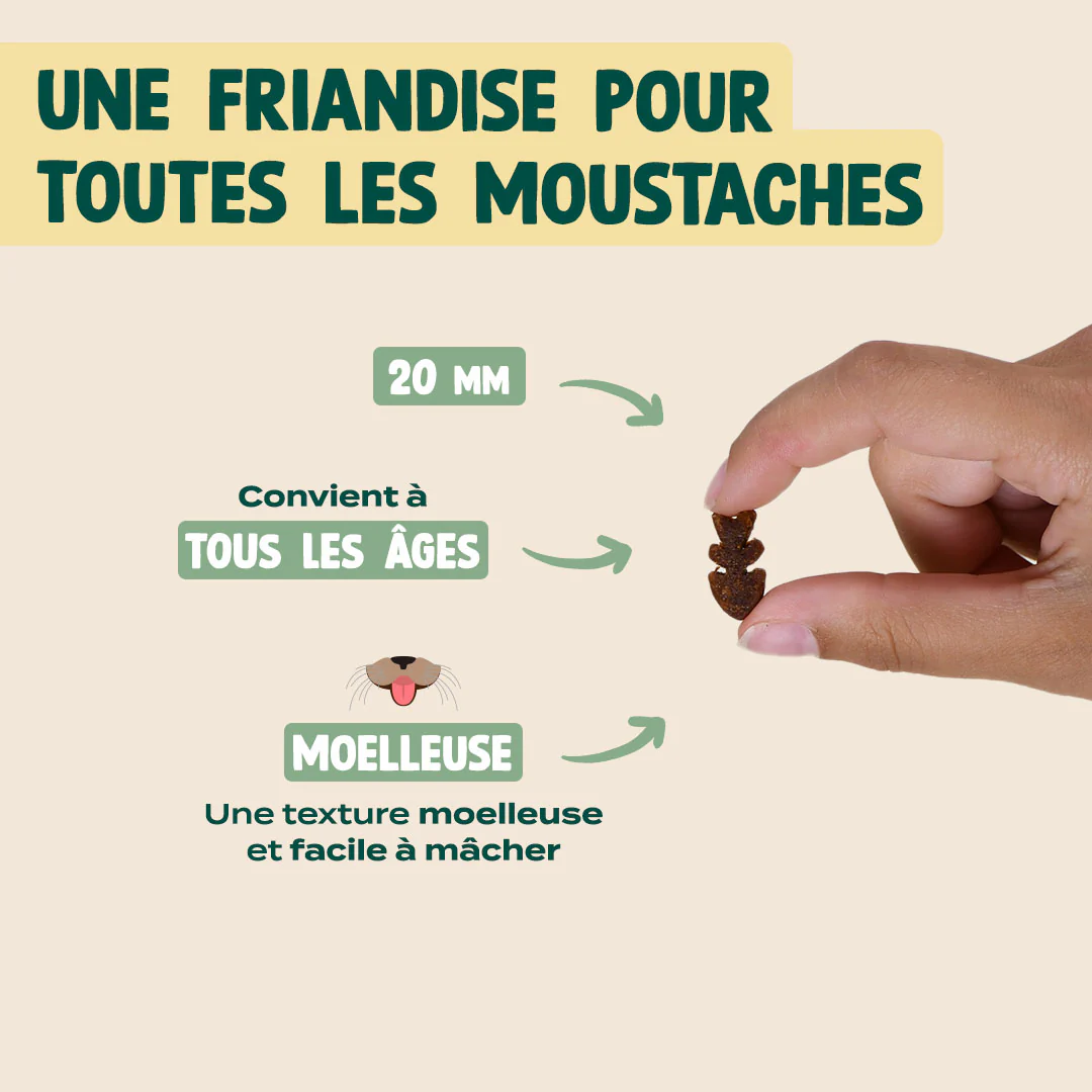 MINI SNACK DIGESTION - Image 4