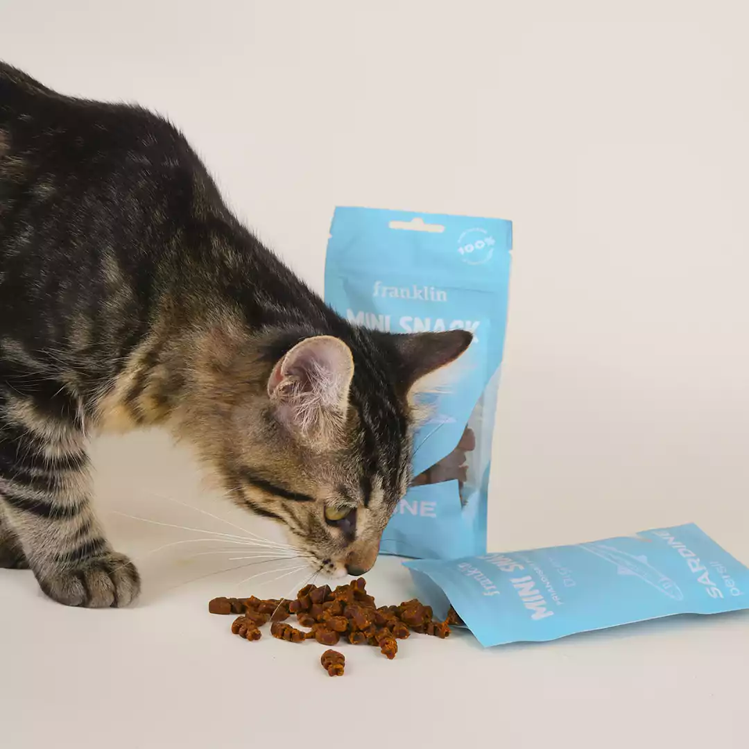 MINI SNACK DIGESTION - Image 5