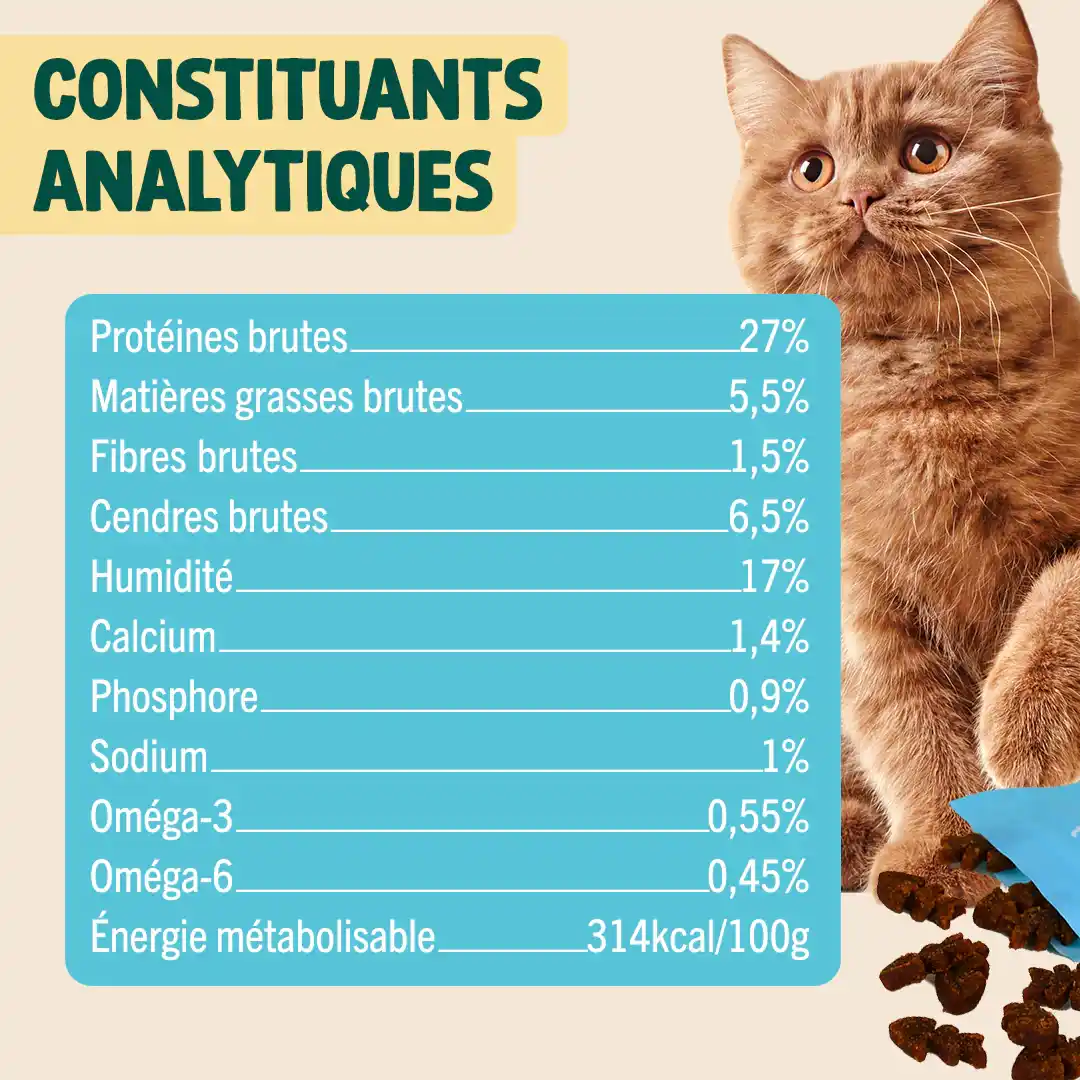 MINI SNACK DIGESTION - Image 6