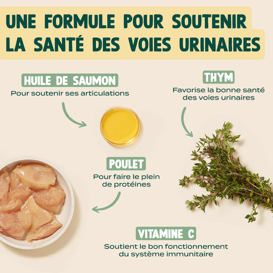 MINI SNACK URINAIRE - Image 3