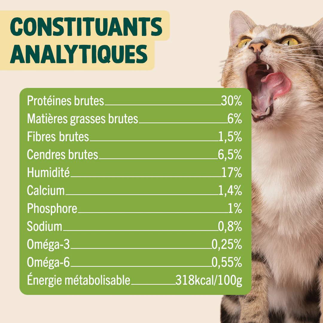 MINI SNACK URINAIRE - Image 4