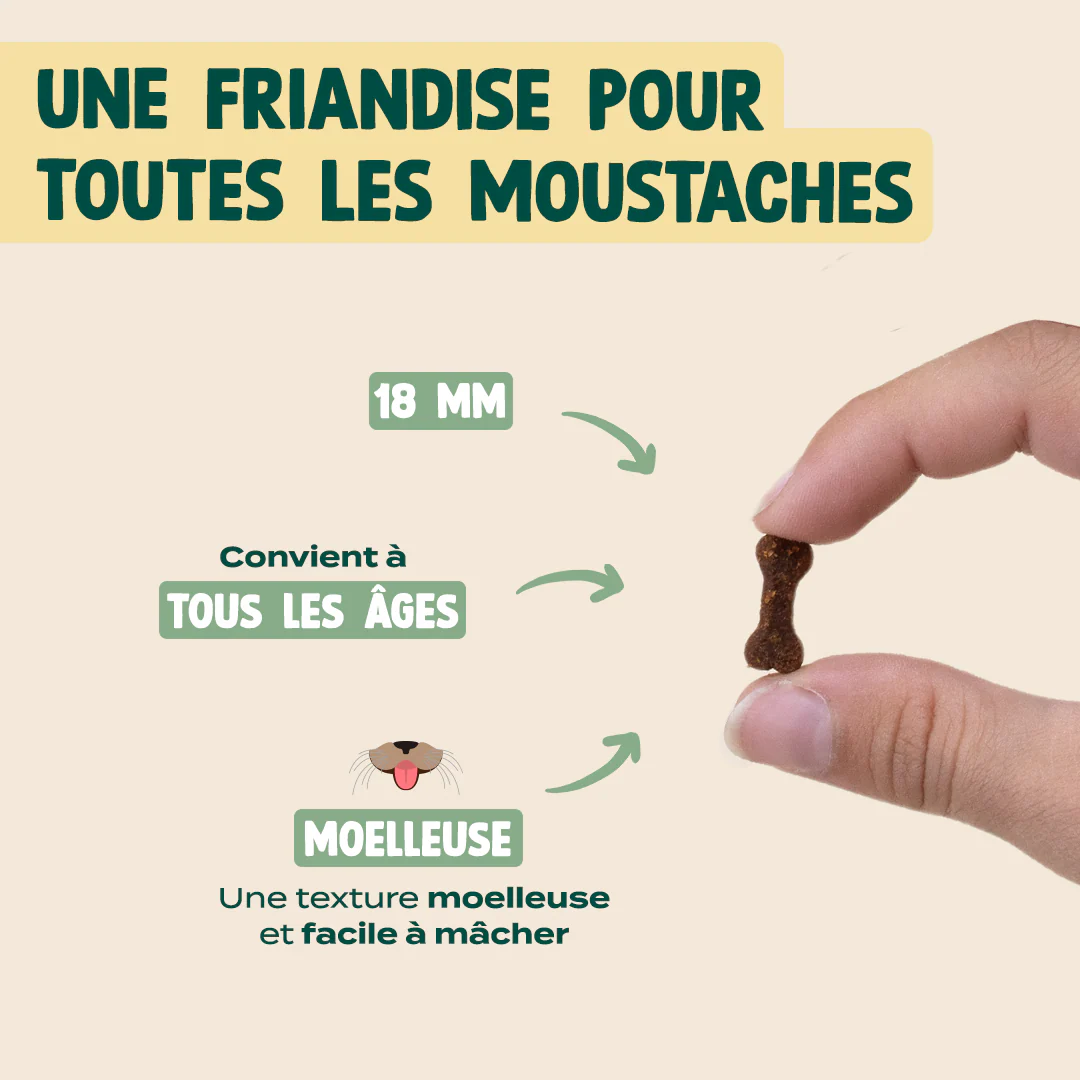 MINI SNACK URINAIRE - Image 5