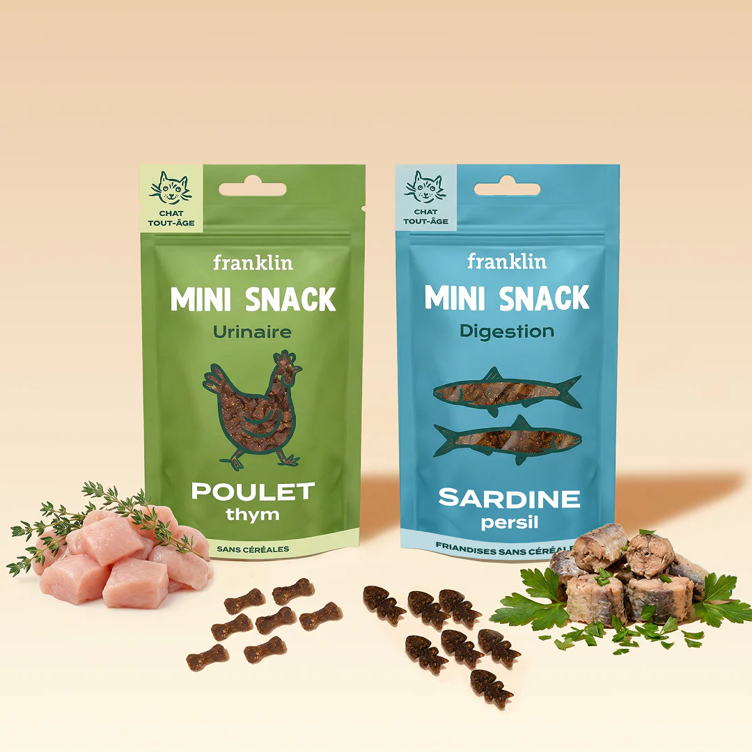 Chat - Tous les produits