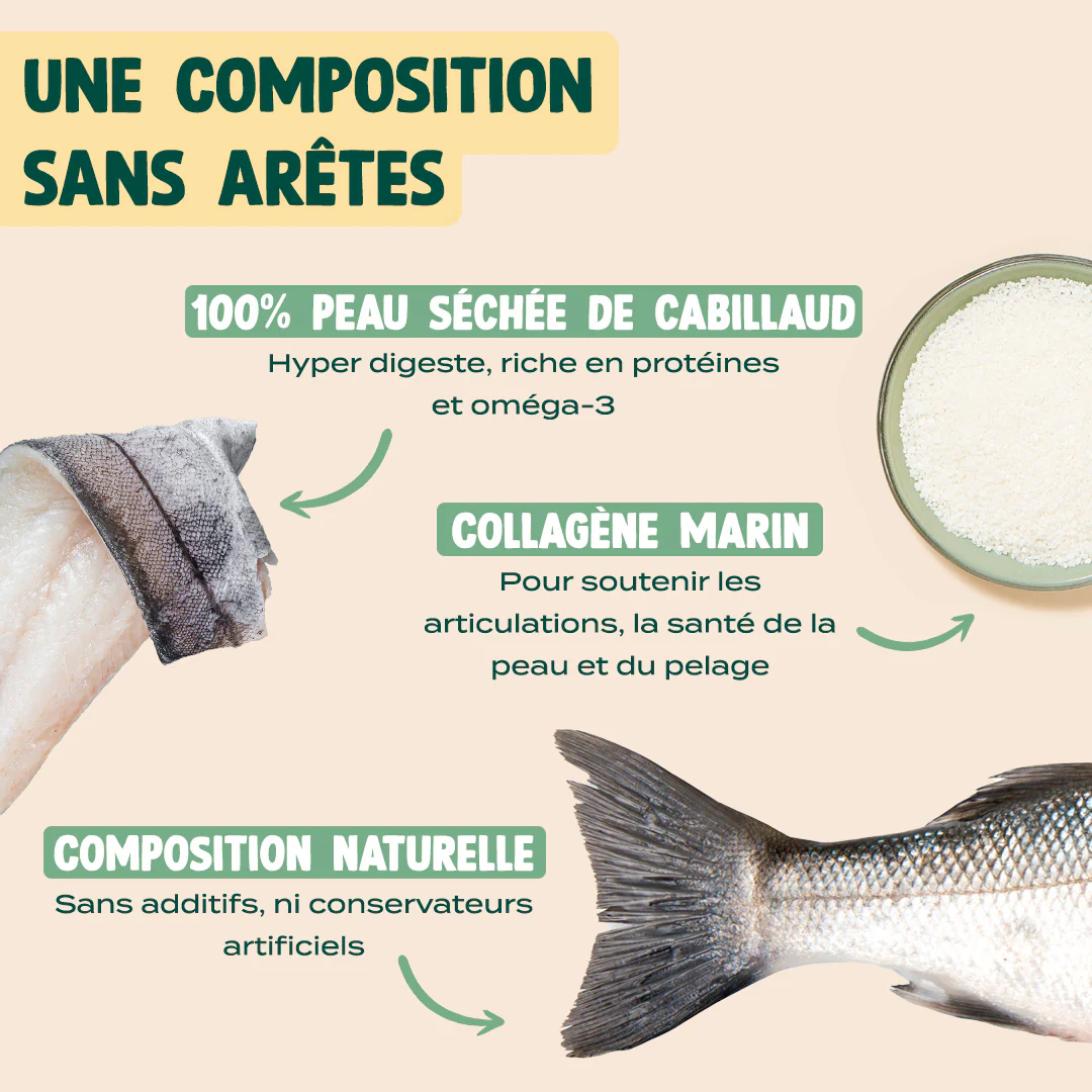 POISSONS À MÂCHER - Image 3