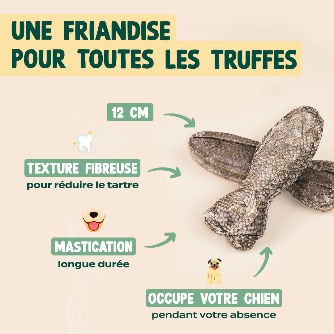 POISSONS À MÂCHER - Image 5