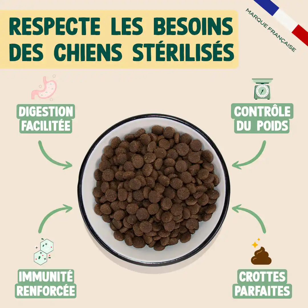 POULET, COURGE, MYRTILLE - Image 3