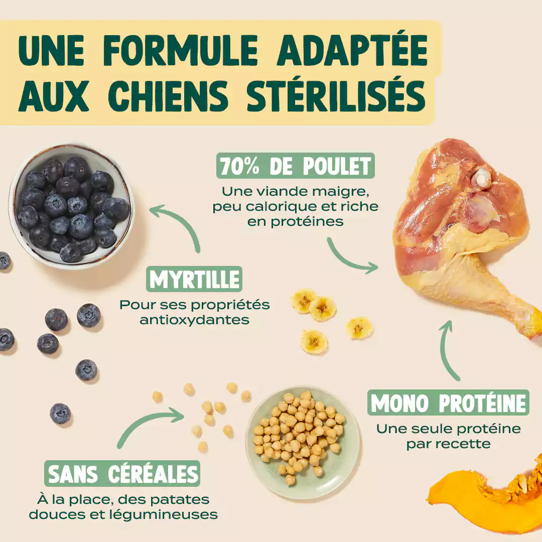 POULET, COURGE, MYRTILLE - Image 4