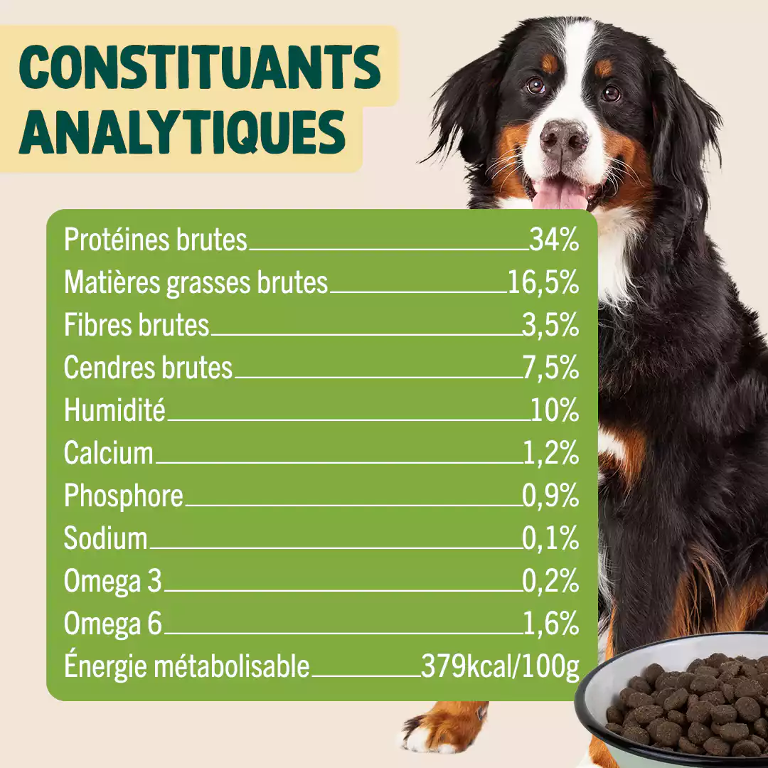 POULET, COURGE, MYRTILLE - Image 5