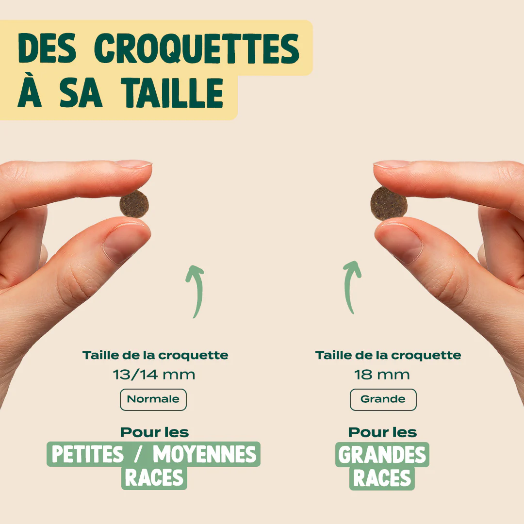 AGNEAU, PATATE DOUCE, MENTHE - Image 6