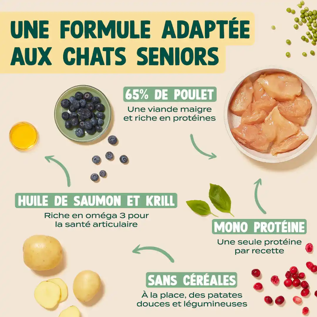 POULET, MYRTILLE, BASILIC - Image 4