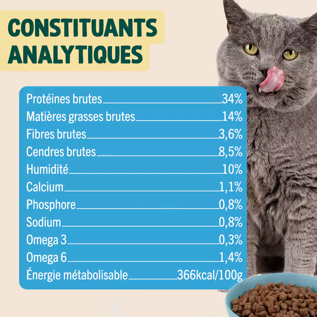 POULET, MYRTILLE, BASILIC - Image 5