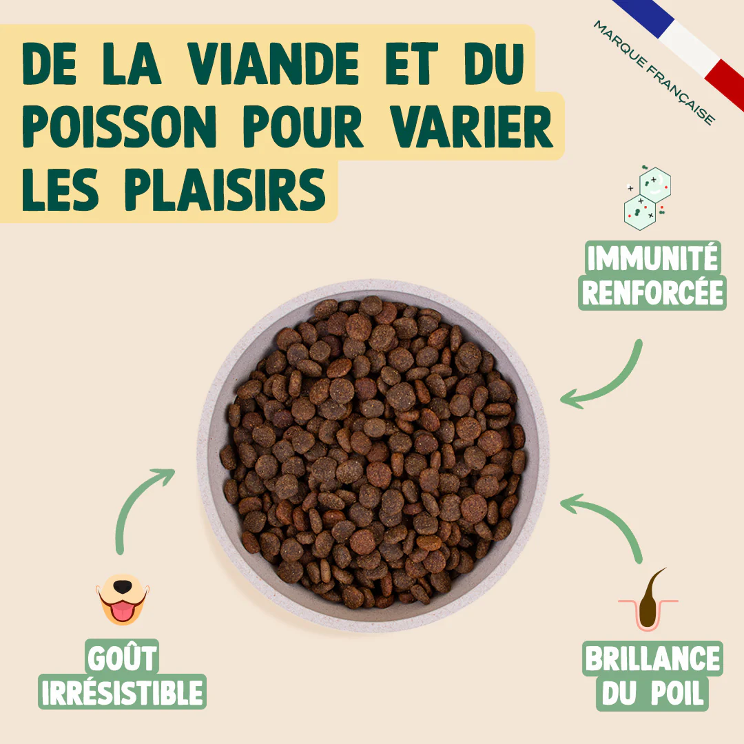 POULET, SAUMON, POMME - Image 3