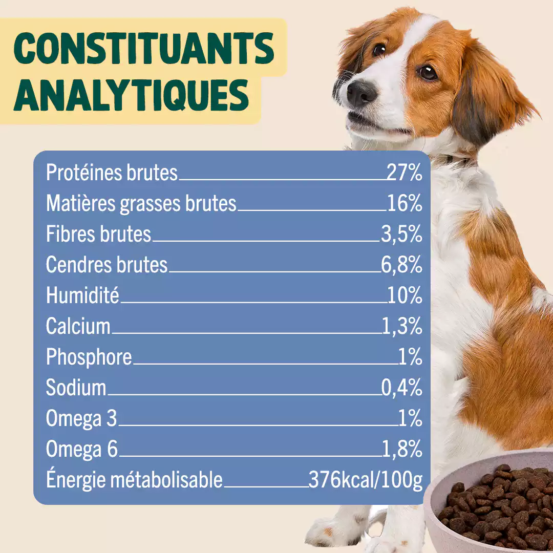 POULET, SAUMON, POMME - Image 5