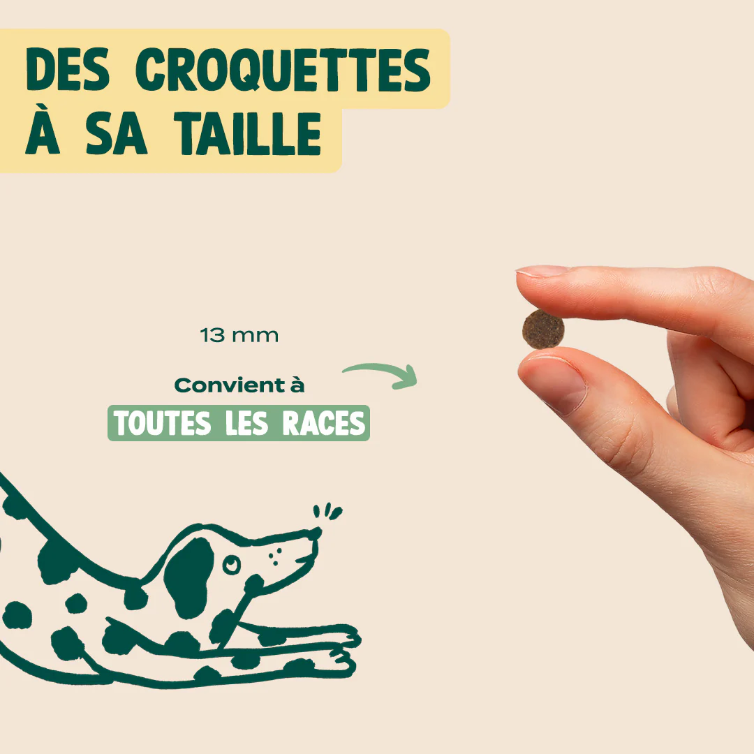 POULET, SAUMON, POMME - Image 6