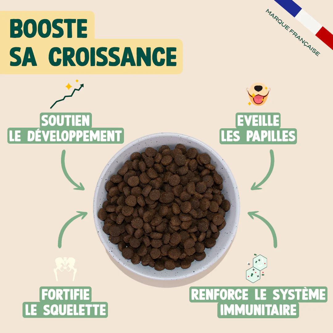 POULET, SAUMON, FENOUIL - Image 3