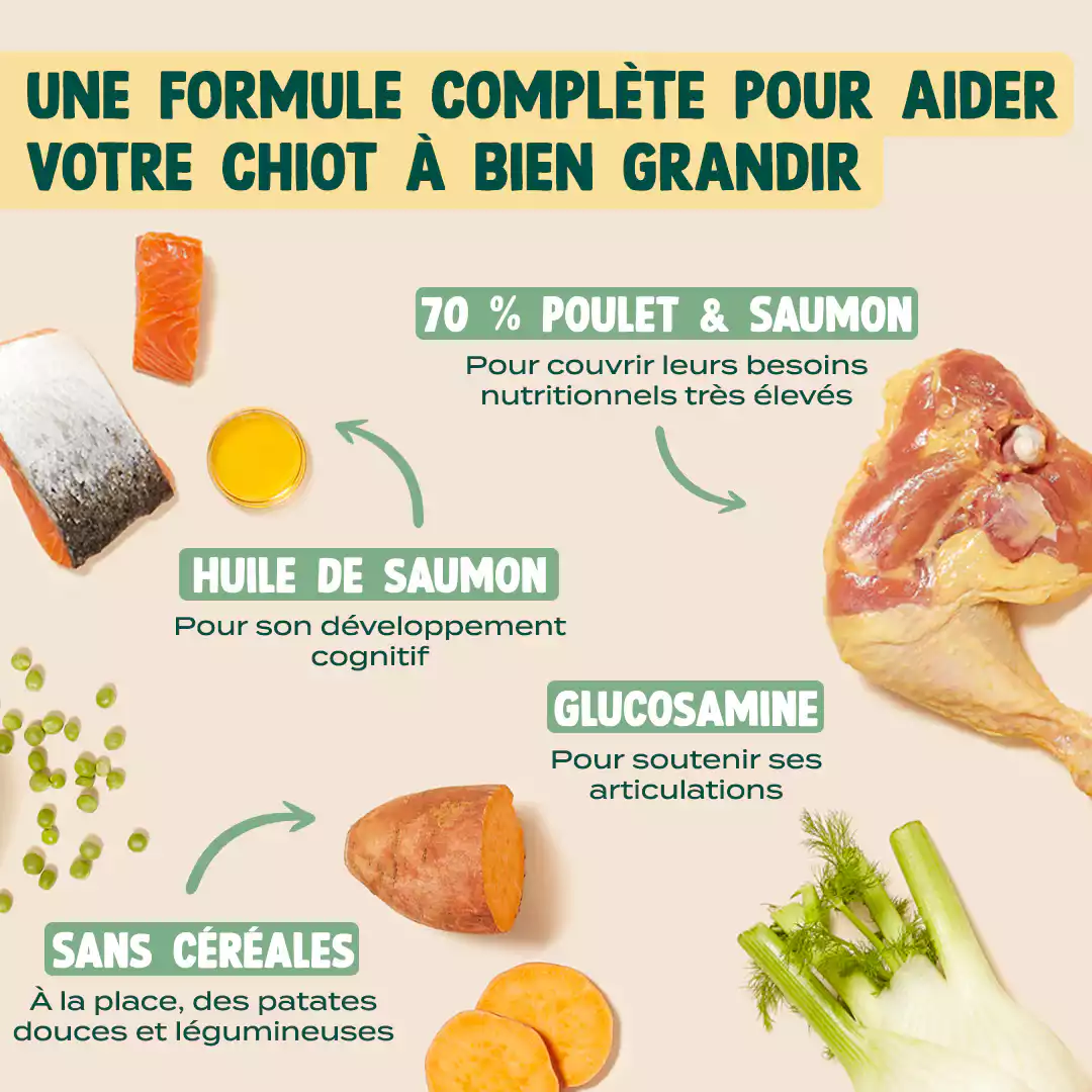 POULET, SAUMON, FENOUIL - Image 4