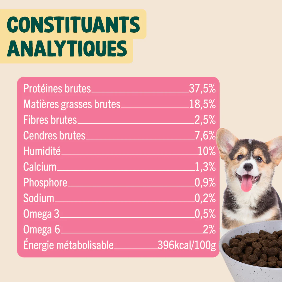 POULET, SAUMON, FENOUIL - Image 5