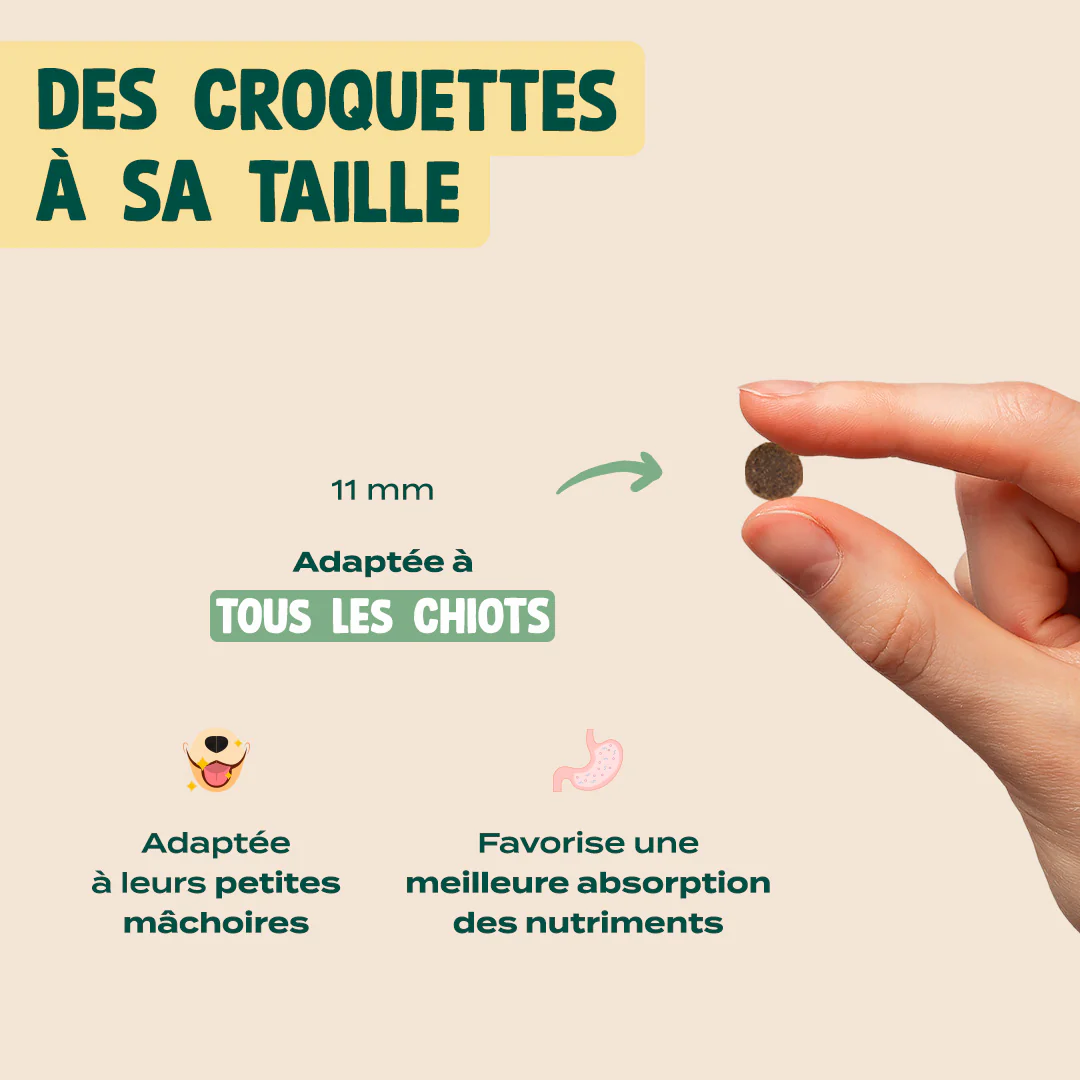 POULET, SAUMON, FENOUIL - Image 6