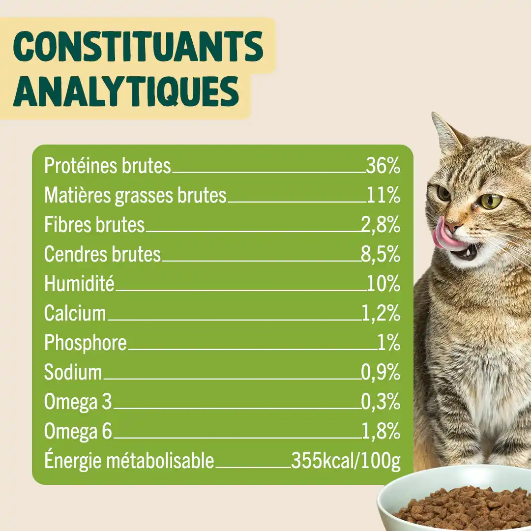 POULET, THON, SAUMON - Image 5