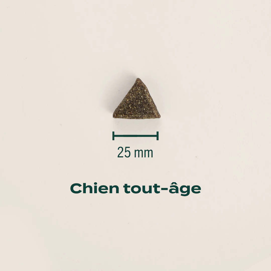 RÉVEILLON GOURMAND - Image 3